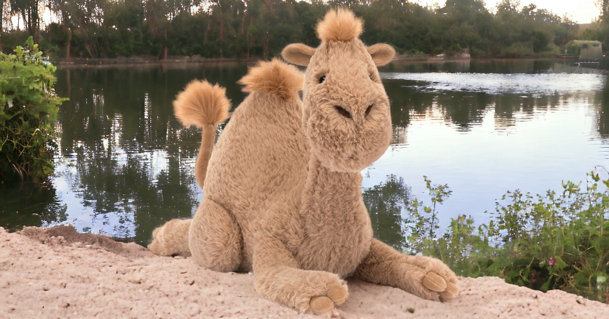 JELLYCAT PLUSH CAMEL Gifts of Joy Pasadena NL