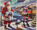 BLANKET SANTA AND PUFFINS