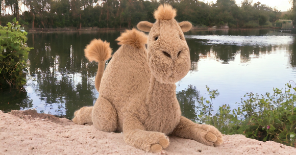 JELLYCAT - PLUSH CAMEL