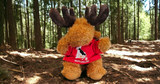 BENNY THE HOODIE MOOSE