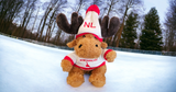 BRUCE THE TOQUE MOOSE