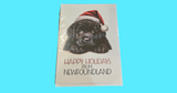 NL DOG CARD