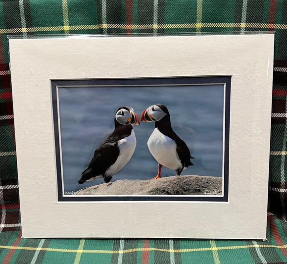 MATTED PHOTO 8X10 - Two Puffins