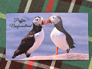 MAGNET - PUFFINS